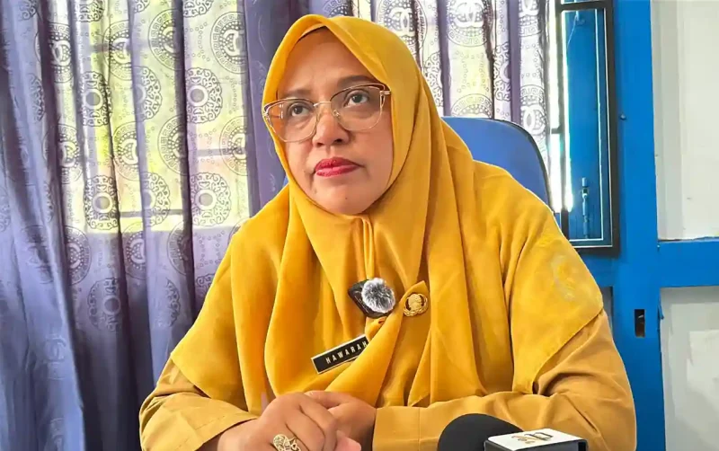 Isu Pemotongan Dana BOK di Puskesmas Punggur